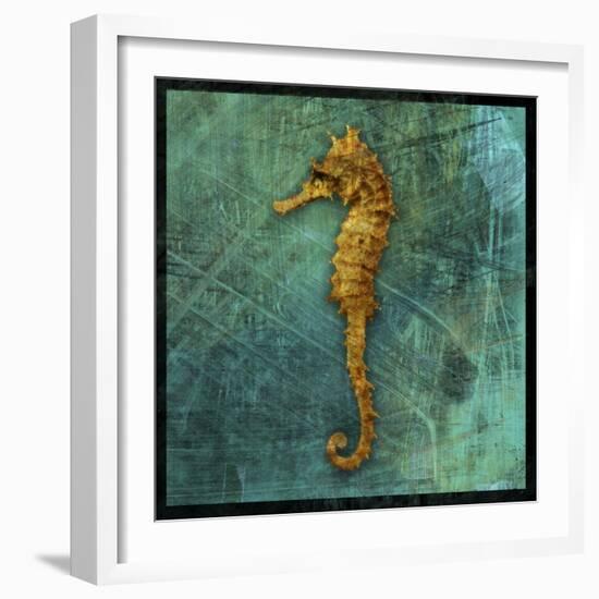 Seahorse-John W Golden-Framed Giclee Print