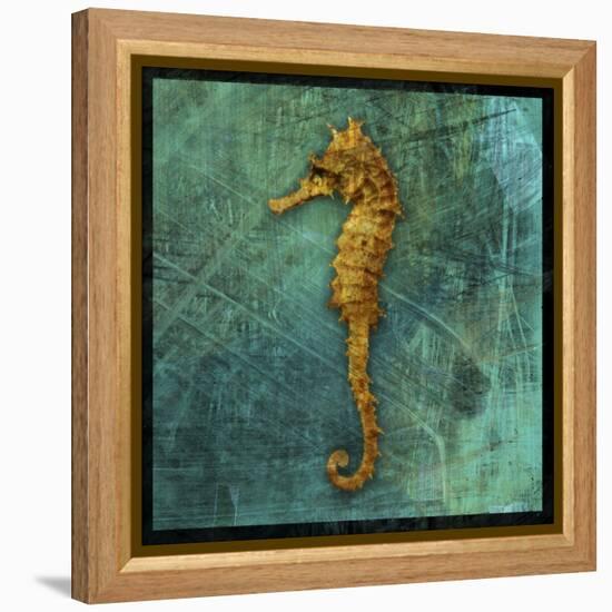 Seahorse-John W Golden-Framed Premier Image Canvas