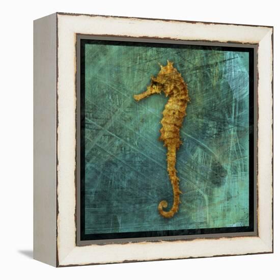 Seahorse-John W Golden-Framed Premier Image Canvas