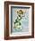 Seahorse-Jami Goddess-Framed Art Print