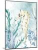 Seahorse-Kimberly Allen-Mounted Art Print