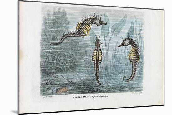 Seahorses, 1863-79-Raimundo Petraroja-Mounted Giclee Print