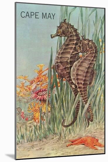 Seahorses, Cape May-null-Mounted Art Print