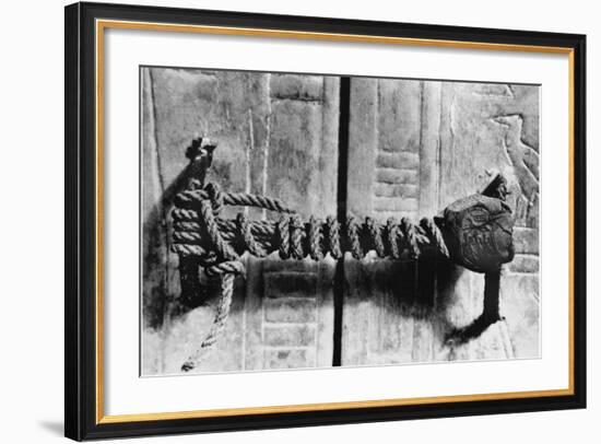 Seal at the Door to the Tomb of Tutankhamun-null-Framed Photographic Print