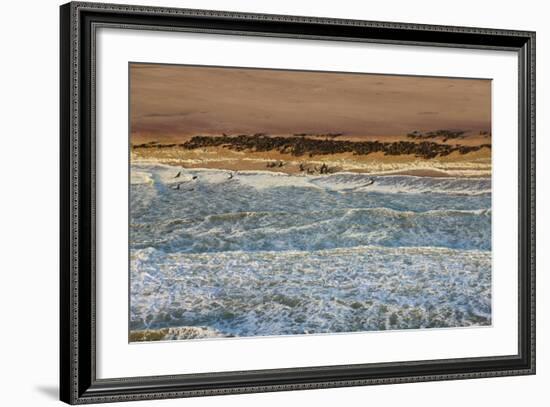 Seal Colony on Skeleton Coast, Namibia, Namib Desert, Aerial View-Peter Adams-Framed Photographic Print