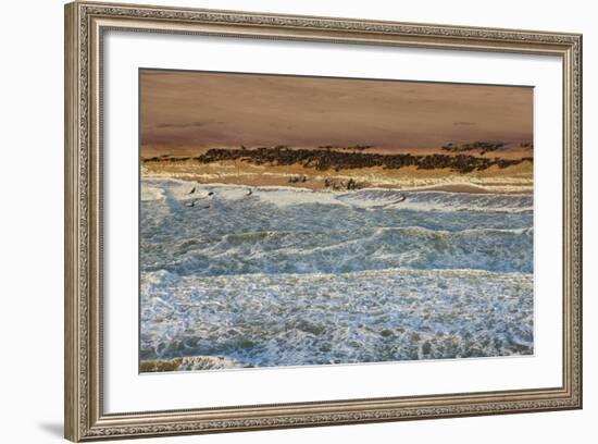 Seal Colony on Skeleton Coast, Namibia, Namib Desert, Aerial View-Peter Adams-Framed Photographic Print
