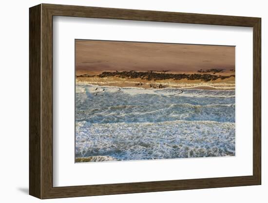 Seal Colony on Skeleton Coast, Namibia, Namib Desert, Aerial View-Peter Adams-Framed Photographic Print