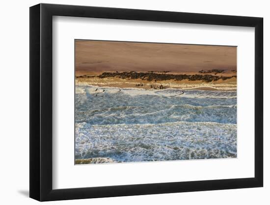 Seal Colony on Skeleton Coast, Namibia, Namib Desert, Aerial View-Peter Adams-Framed Photographic Print