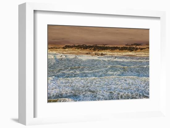 Seal Colony on Skeleton Coast, Namibia, Namib Desert, Aerial View-Peter Adams-Framed Photographic Print