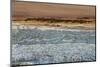 Seal Colony on Skeleton Coast, Namibia, Namib Desert, Aerial View-Peter Adams-Mounted Photographic Print