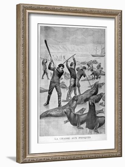 Seal Hunting, Newfoundland, 1902-null-Framed Giclee Print