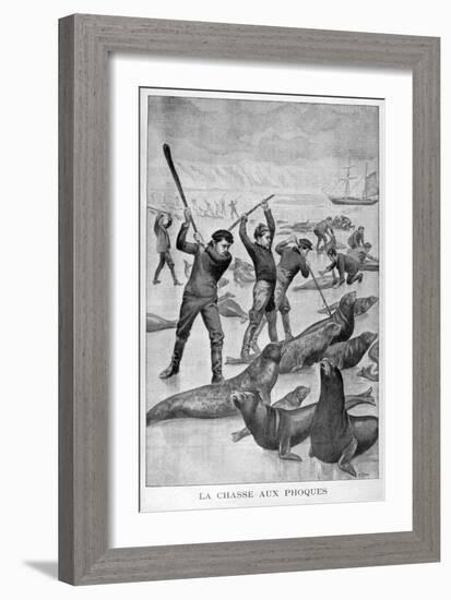 Seal Hunting, Newfoundland, 1902-null-Framed Giclee Print