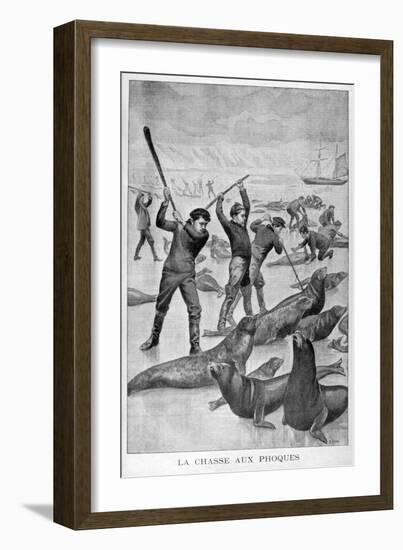 Seal Hunting, Newfoundland, 1902-null-Framed Giclee Print