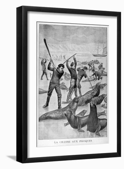 Seal Hunting, Newfoundland, 1902-null-Framed Giclee Print