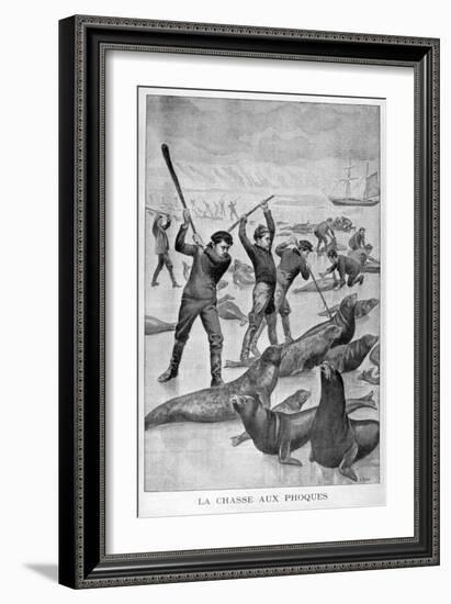 Seal Hunting, Newfoundland, 1902-null-Framed Giclee Print