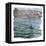 Seal Island-Kirstie Adamson-Framed Premier Image Canvas