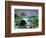 Seal Rock-Albert Bierstadt-Framed Art Print