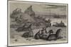 Seal Rocks, Near San Francisco, California-Samuel Edmund Waller-Mounted Giclee Print