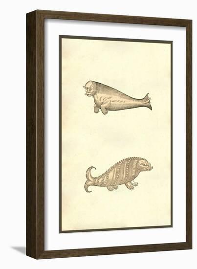 Seal & Walrus Creatures-Ulisse Aldrovandi-Framed Art Print