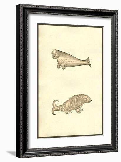 Seal & Walrus Creatures-Ulisse Aldrovandi-Framed Art Print