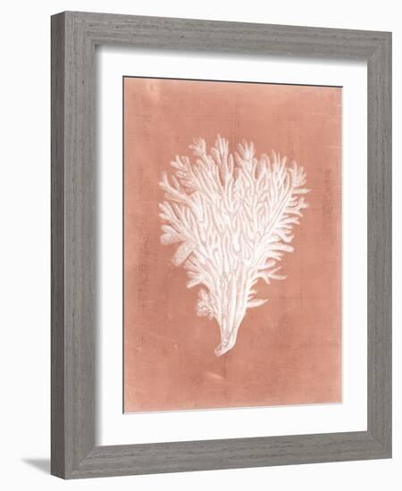 Sealife on Coral II-Vision Studio-Framed Art Print