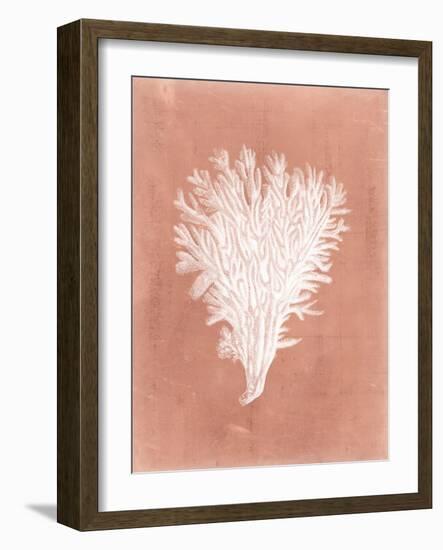 Sealife on Coral II-Vision Studio-Framed Art Print