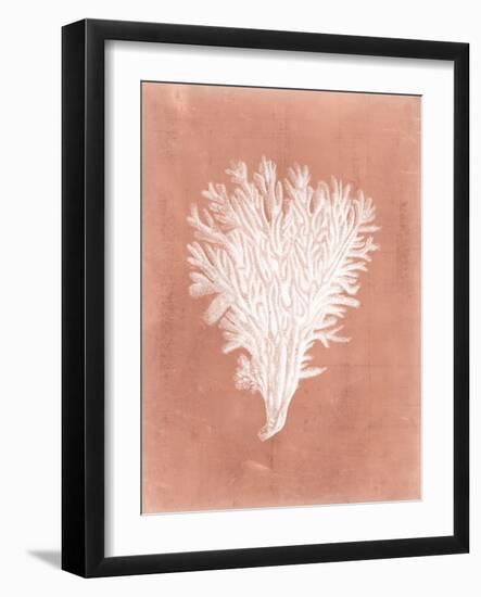 Sealife on Coral II-Vision Studio-Framed Art Print