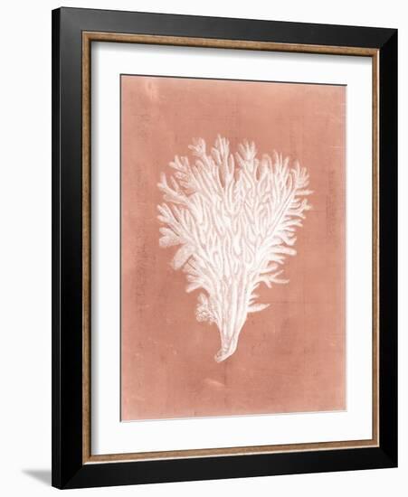 Sealife on Coral II-Vision Studio-Framed Art Print