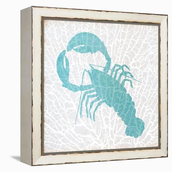 Sealife on Coral VI-Julie DeRice-Framed Stretched Canvas