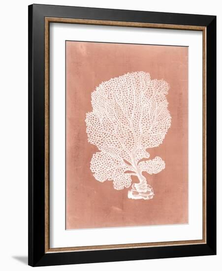 Sealife on Coral VIII-Vision Studio-Framed Art Print