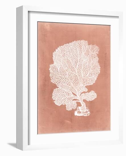 Sealife on Coral VIII-Vision Studio-Framed Art Print