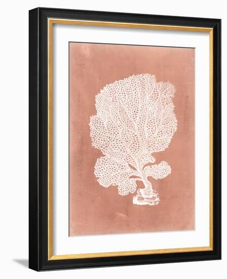 Sealife on Coral VIII-Vision Studio-Framed Art Print