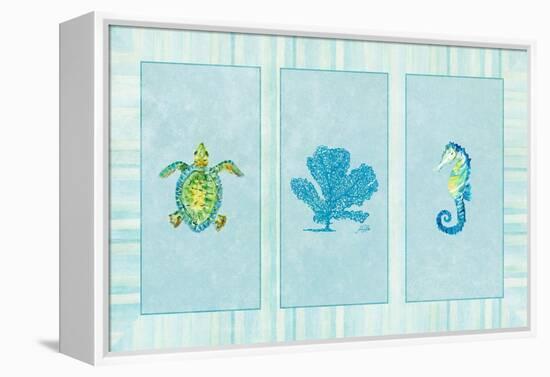 Sealife Rectangle IV-Julie DeRice-Framed Stretched Canvas