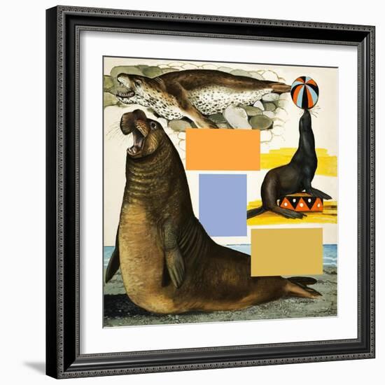 Seals and Sea-Lions, Including Seal Balancing Ball on Nose-Arthur Oxenham-Framed Giclee Print