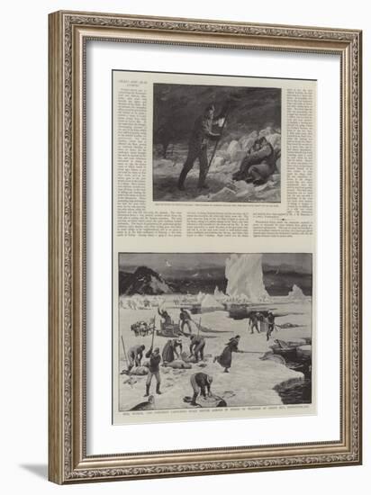 Seals and Seal Fisheries-null-Framed Giclee Print