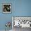 Seals Compete for Dock Space on Pier 39-null-Framed Photographic Print displayed on a wall