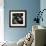 Seals Compete for Dock Space on Pier 39-null-Framed Photographic Print displayed on a wall