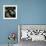 Seals Compete for Dock Space on Pier 39-null-Framed Photographic Print displayed on a wall