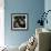 Seals Compete for Dock Space on Pier 39-null-Framed Photographic Print displayed on a wall