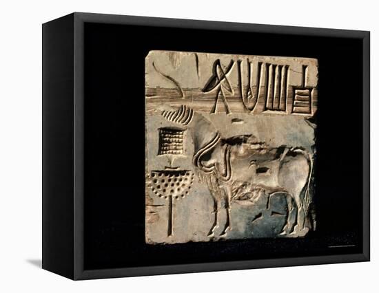 Seals from Mohenjodaro, Indus Valley Civilisation, Karachi Museum, Karachi, Pakistan-Robert Harding-Framed Premier Image Canvas