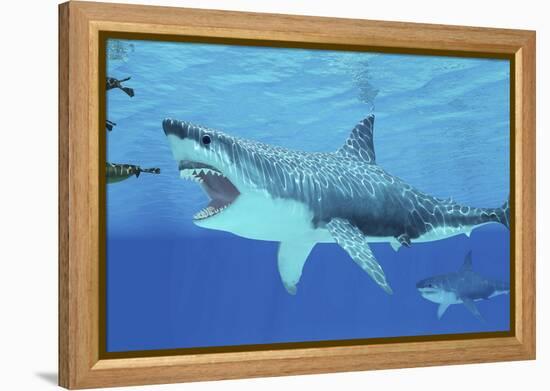 Seals Race to Get Away from a Giant Megalodon Shark-null-Framed Stretched Canvas