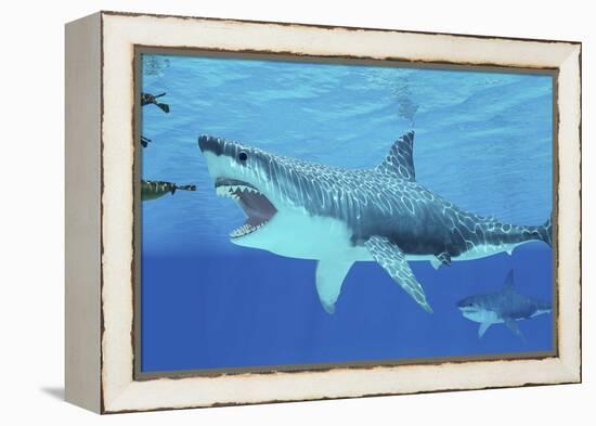 Seals Race to Get Away from a Giant Megalodon Shark-null-Framed Stretched Canvas