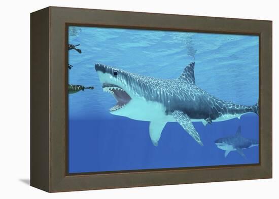 Seals Race to Get Away from a Giant Megalodon Shark-null-Framed Stretched Canvas