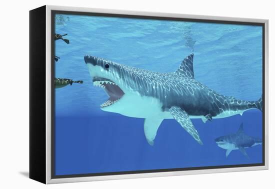 Seals Race to Get Away from a Giant Megalodon Shark-null-Framed Stretched Canvas