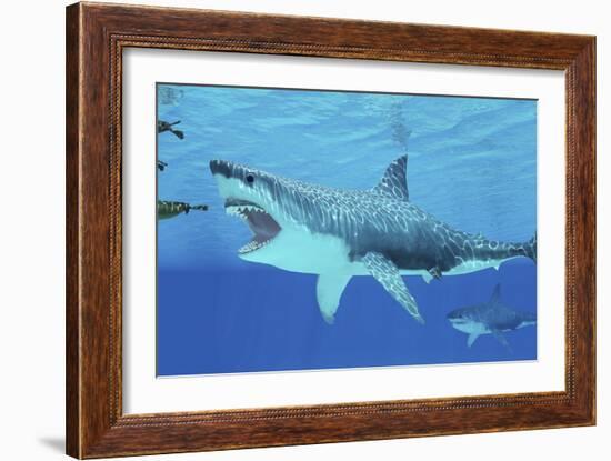 Seals Race to Get Away from a Giant Megalodon Shark-null-Framed Art Print