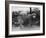 Sealyham Riding a Sheep-null-Framed Photographic Print