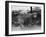 Sealyham Riding a Sheep-null-Framed Photographic Print