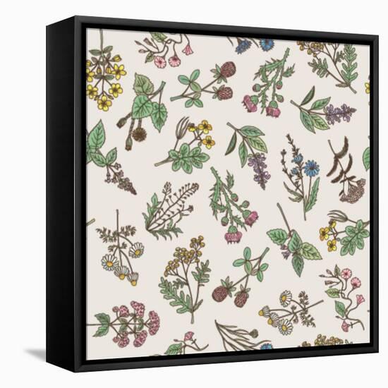 Seamless Pattern of Various Hand Drawn Herbs and Flowers-ONYXprj-Framed Stretched Canvas