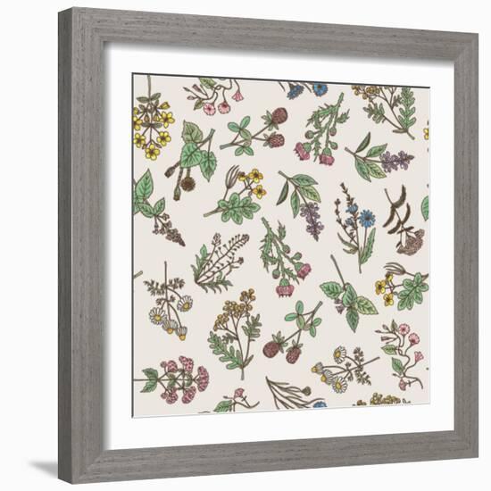 Seamless Pattern of Various Hand Drawn Herbs and Flowers-ONYXprj-Framed Art Print