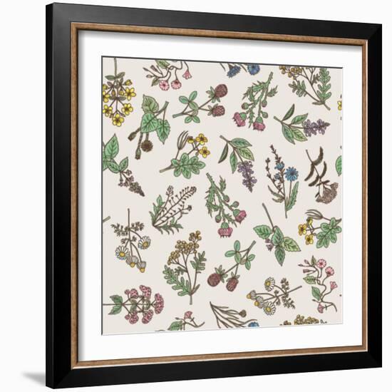 Seamless Pattern of Various Hand Drawn Herbs and Flowers-ONYXprj-Framed Art Print